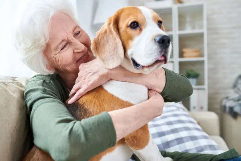 senior woman sitting on the couch while hugging her beagle dog