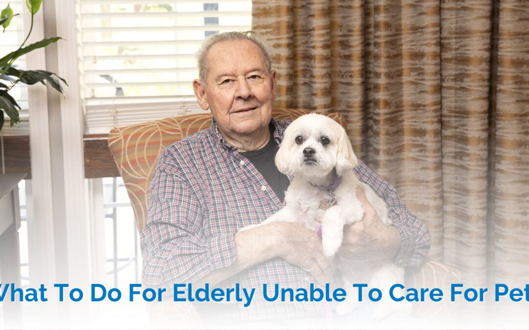 What To Do For Elderly Unable To Care For Pets